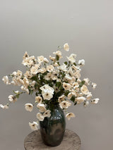 Wild Whites