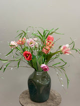Tulipa Pink
