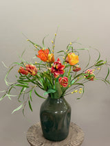 Tulipa Orange