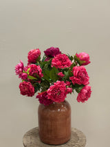 Dark Pink Peony Mix