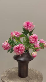 Classic Pink Peony