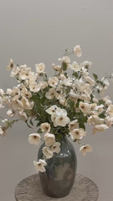 Wild Whites