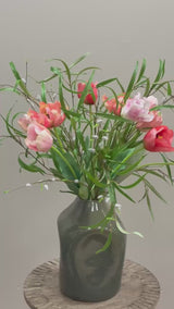 Tulipa Pink