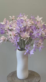 Pink Purple Passion