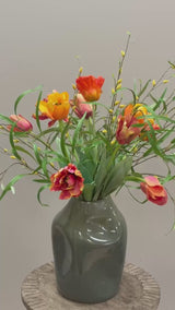 Tulipa Orange