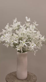 White Whispers