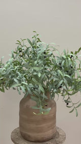 Olives de Luxe